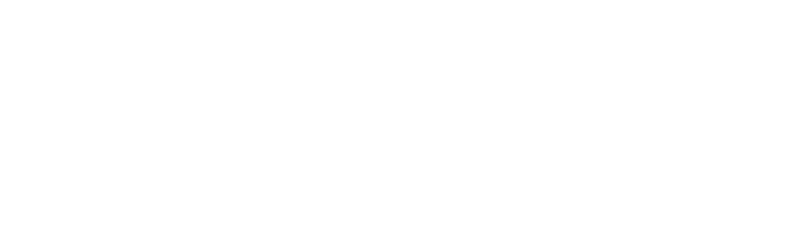 iSprint Logo